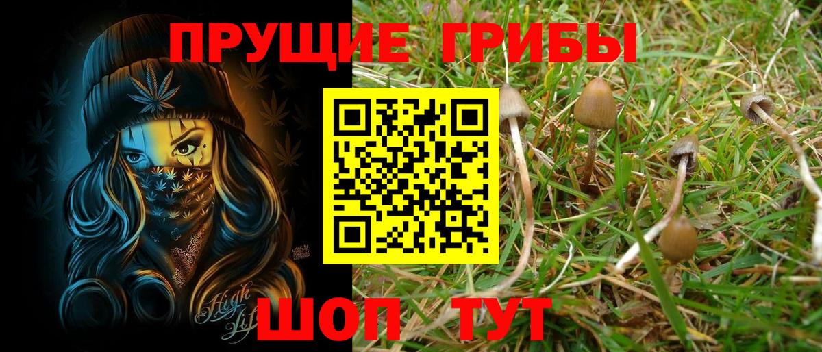 Псилоцибиновые грибы мухоморы Сердобск