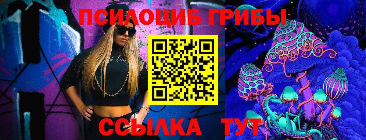 Сердобск  Галлюциногенные грибы Psilocybe  Вход с VPN 